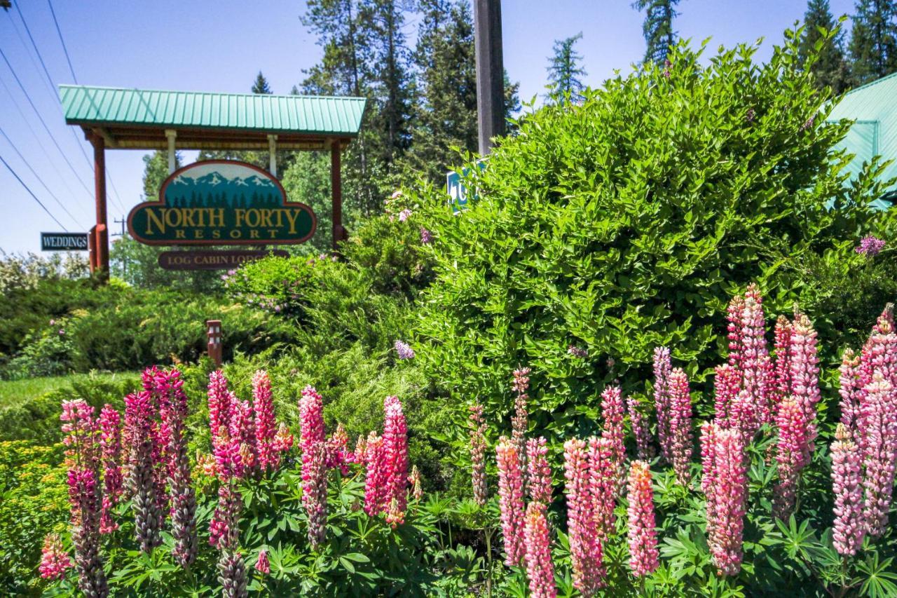 North Forty Resort Columbia Falls Buitenkant foto
